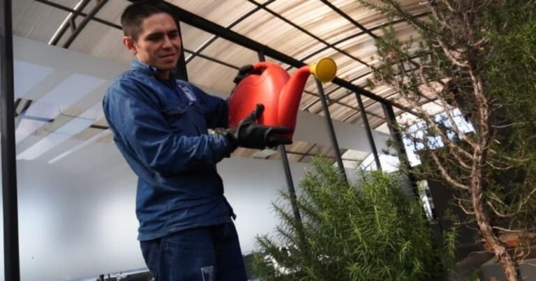 Empresas de Teusaquillo, abierta Convocatoria Acercar 2024, oportunidad para mostrar la sostenibilidad empresarial