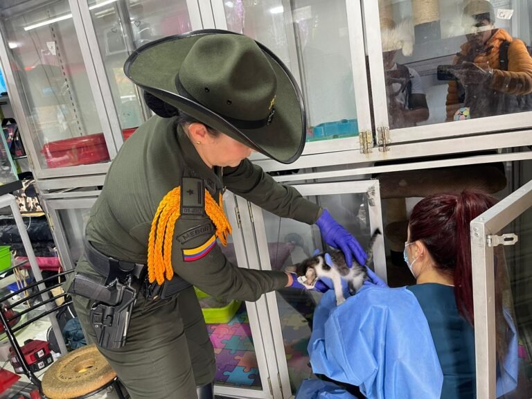 Rescate animal sin precedentes en Teusaquillo