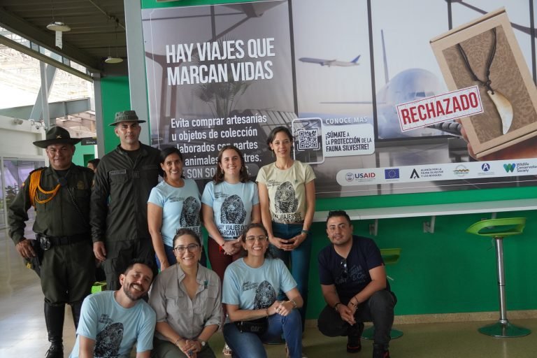 WCS lanza su campaña ‘Hay viajes que marcan vidas’, con la que busca sensibilizar sobre el tráfico de fauna silvestre en aeropuertos
