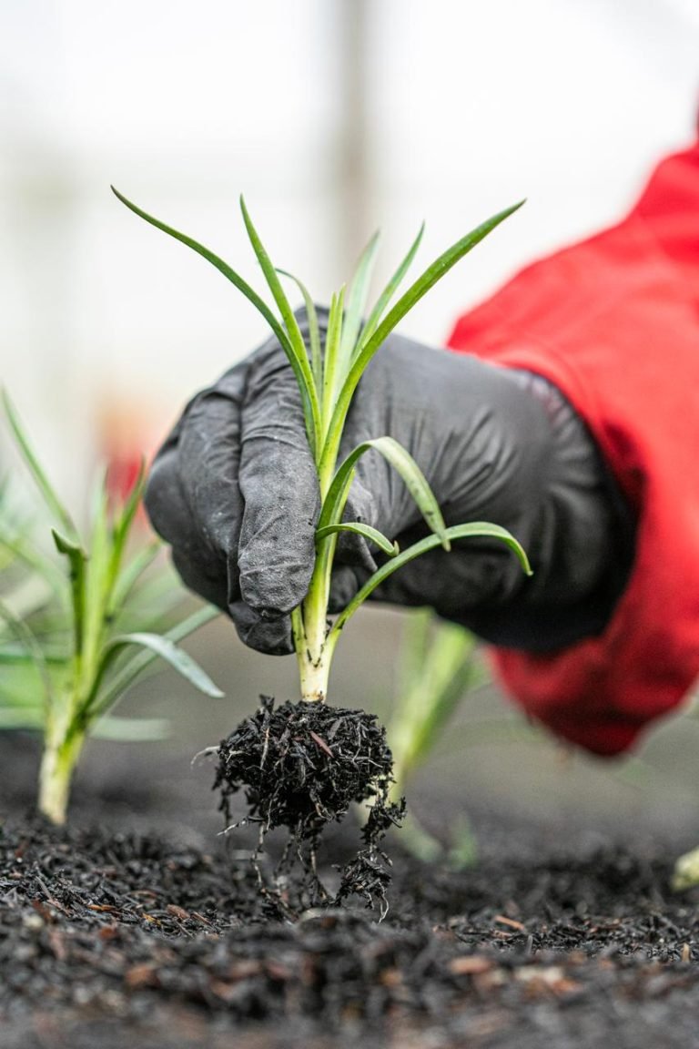 Los floricultores se preparan para compartir durante la COP16 su experiencia “Bancos de Propagación”