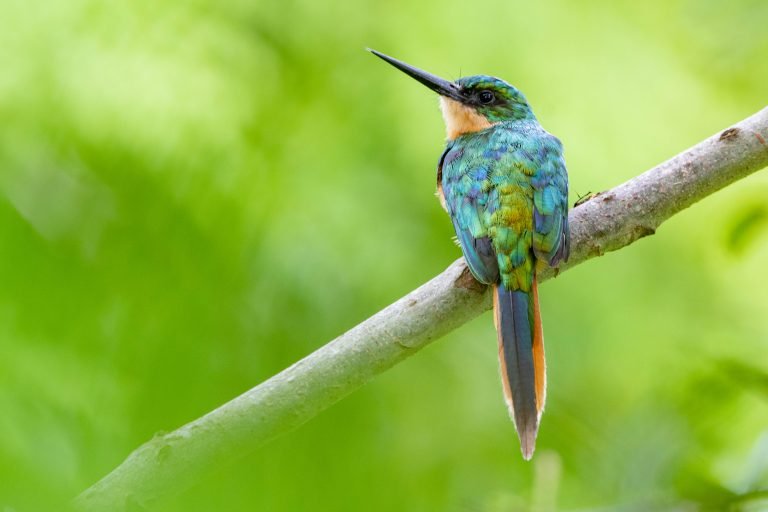 Turismo de naturaleza, protagonista en Vitrina Turística de Anato 2025