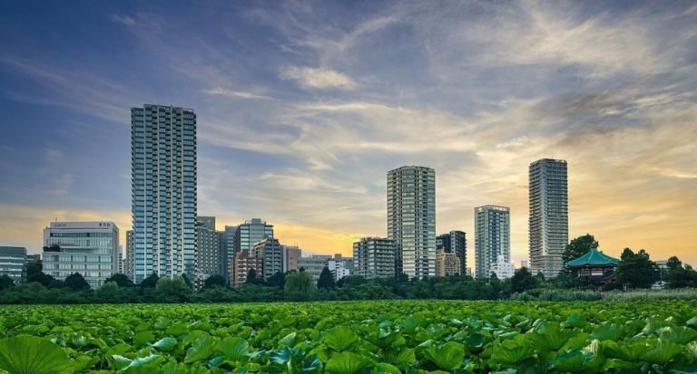 Primer programa académico en el país que transforma la gestión de la propiedad horizontal