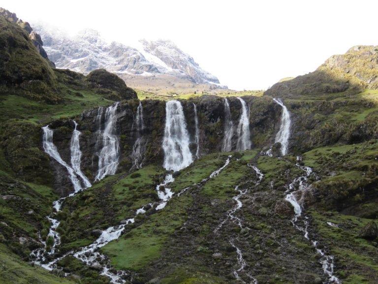 Colombia se suma a la restauración andina con nuevas áreas piloto en expansión