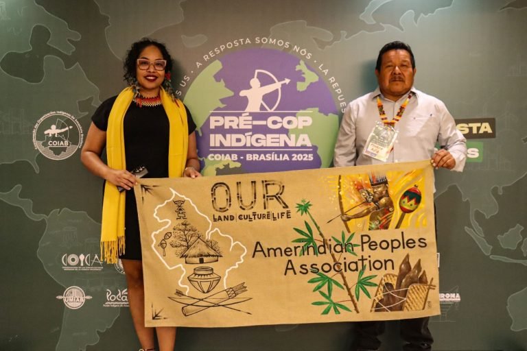 Pré-COP Indígena, antesala de la COP30, presentó propuesta climática inédita en LatAm