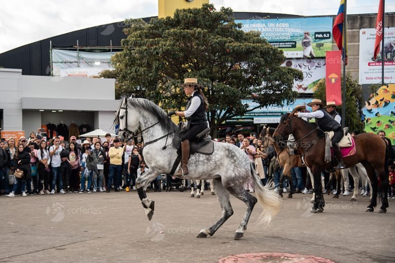 Agroexpo 2025 rompe récords con más de 290 mil asistentes: la feria más visitada de su historia