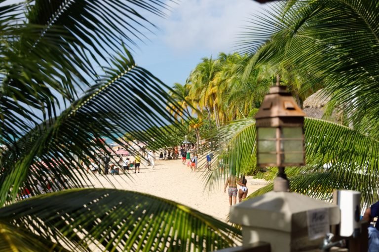 Wingo revela su Destino Oculto 2025 es Montego Bay, Jamaica y se convierte en su nueva ruta internacional