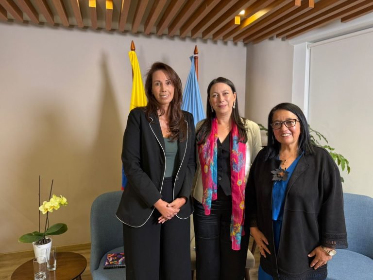 Una democracia libre de violencias contra las mujeres en política