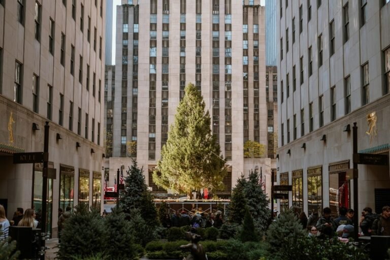 El Rockefeller Center instaló su árbol de Navidad, así comienza la temporada navideña en NY