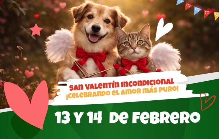 Celebrando el amor más puro por los animales en San Valentín en Bogotá