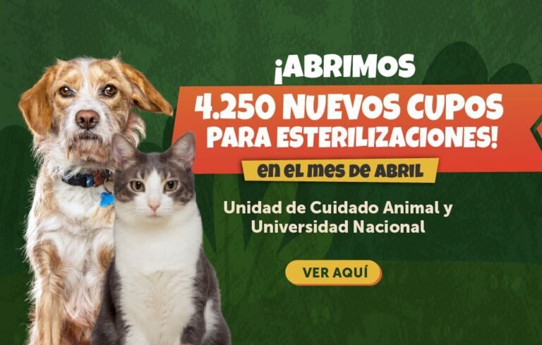 Bogotá fortalece el bienestar animal con 4.250 nuevos cupos de esterilización gratuita